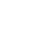 International March of the Living logo
